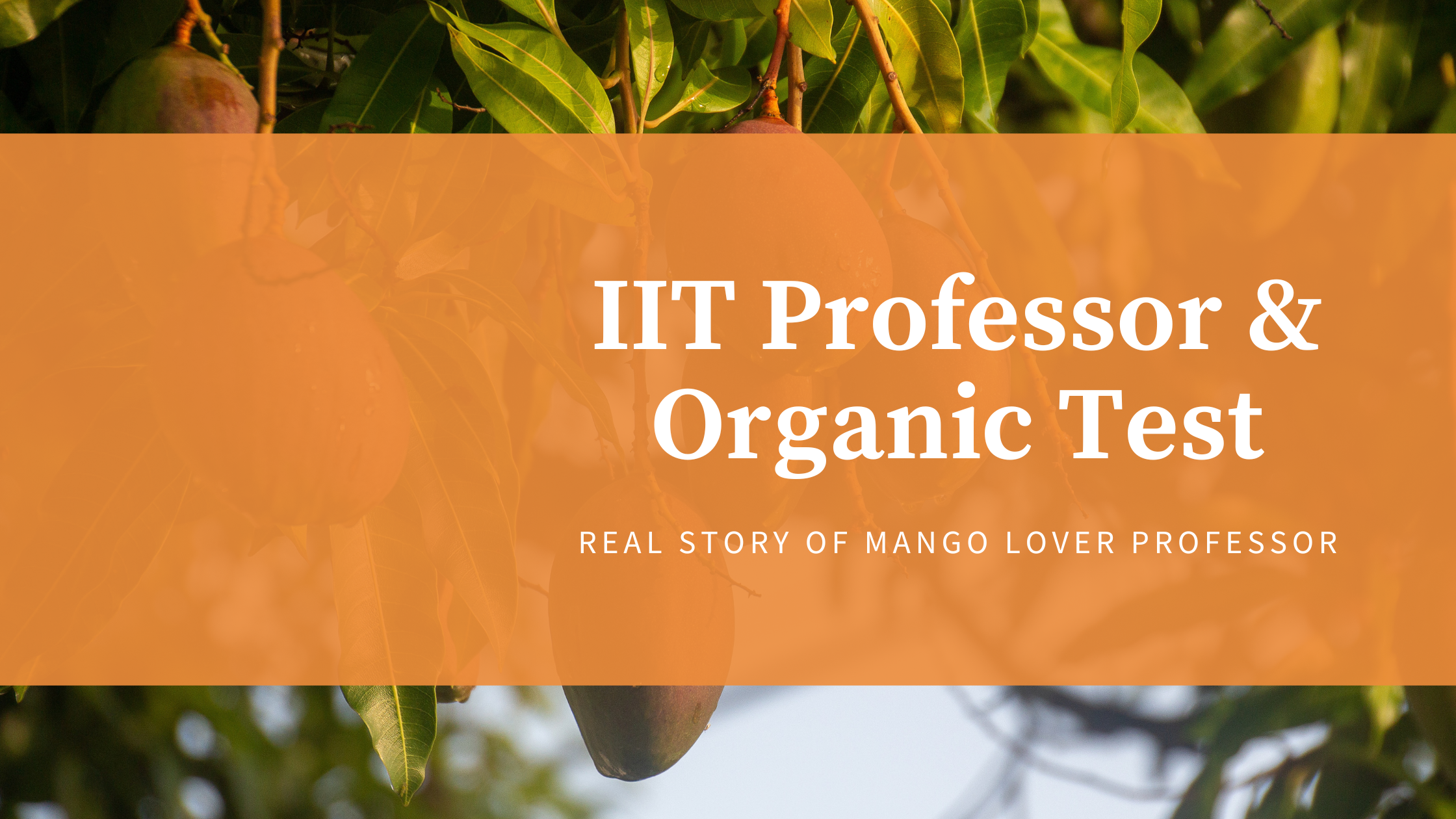 IIT-Professor-Organic-Test
