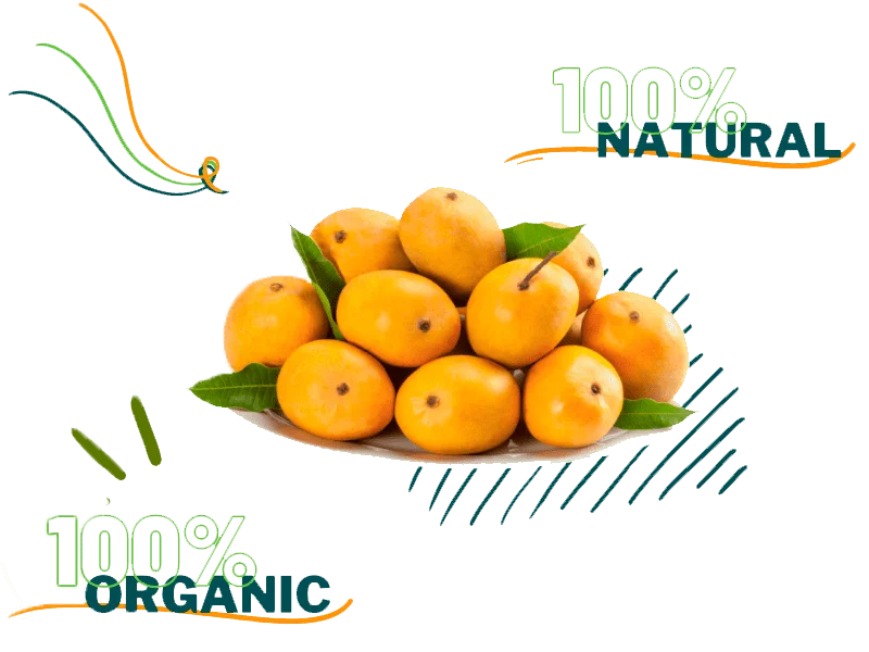 Kutch Kesar Mango